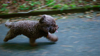 Welcome to Wowchemy, the website builder for Hugo featured image